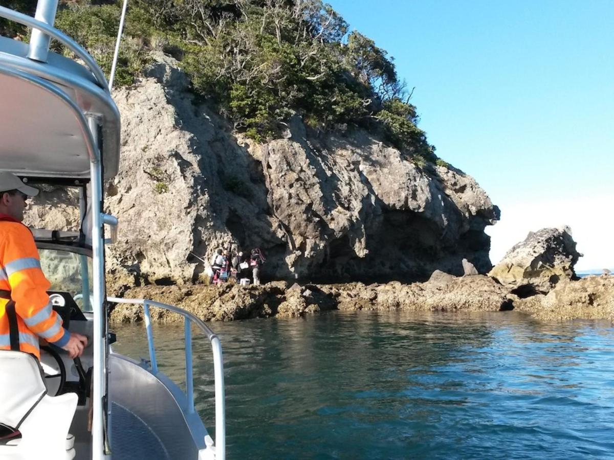 Anglers Lodge Coromandel Extérieur photo